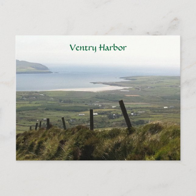 Ventry Harbour, Dingle, Kerry, Ireland Postcard (Front)