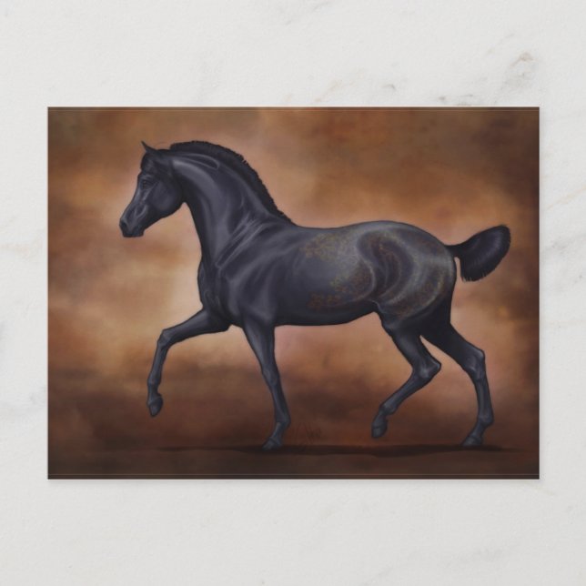 Ventus postcard (Front)