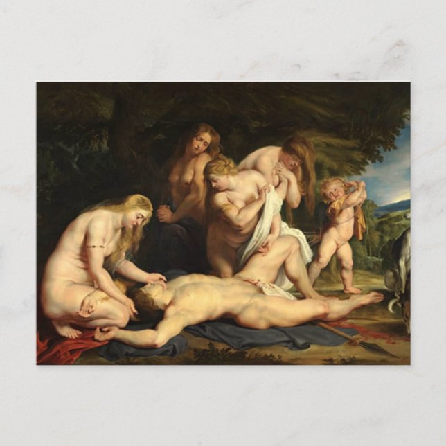 Venus & Adonis - Rubens Postcard (Front)