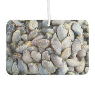 Venus Clam [หอยลาย] Air Freshener