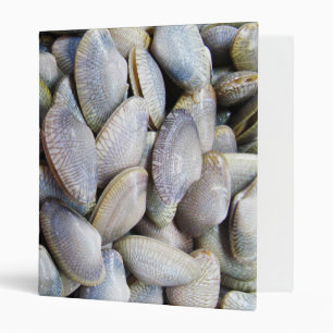 Venus Clam [หอยลาย] Binder