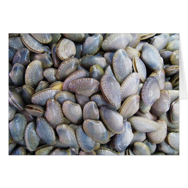 Venus Clam [หอยลาย] Card (Front Horizontal)