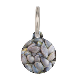 Venus Clam [หอยลาย] Pet Tag