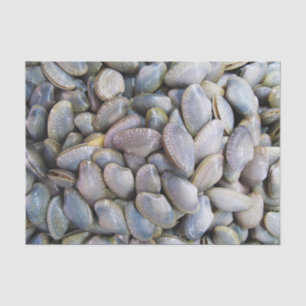 Venus Clam [หอยลาย] Tissue Paper