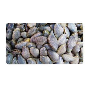 Venus Clam [ห อ ย ล า ย]