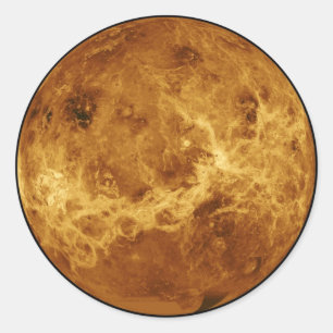 Venus Classic Round Sticker
