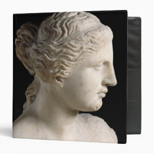 Venus de Milo Binder