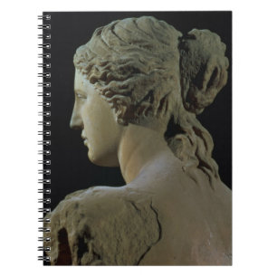 Venus de Milo, detail of the back of the head, Hel Notebook