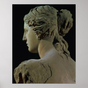 Venus de Milo, detail of the back of the head, Hel Poster