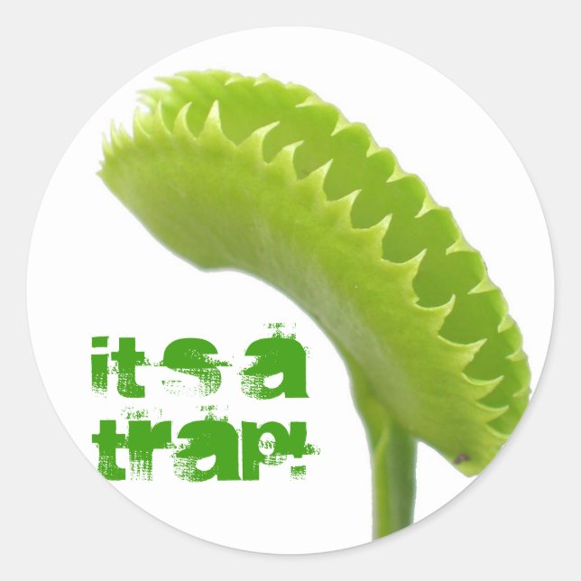 Venus Fly Trap Classic Round Sticker (Front)