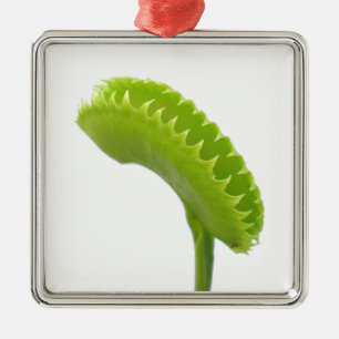 Venus Fly Trap Metal Ornament