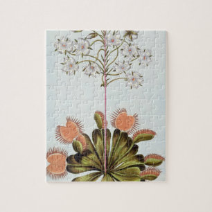 Venus Fly-trap, plate 84, from 'Collection Precieu Jigsaw Puzzle