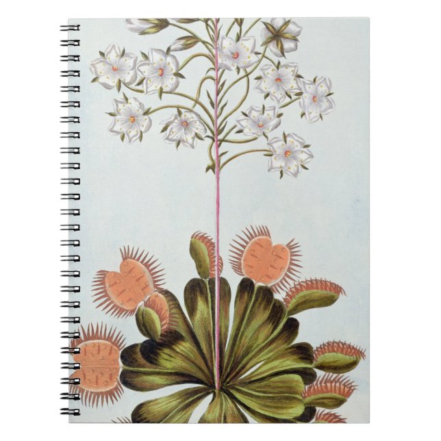 Venus Fly-trap, plate 84, from 'Collection Precieu Notebook (Front)