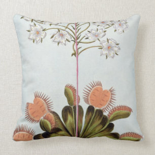 Venus Fly-trap, plate 84, from 'Collection Precieu Throw Pillow