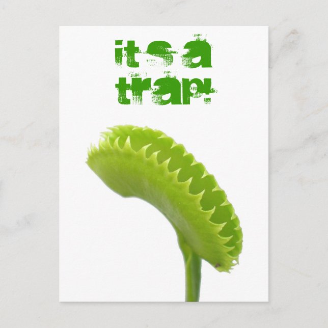 Venus Fly Trap Postcard (Front)