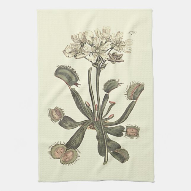 Venus Flytrap Botanical Illustration Kitchen Towel (Vertical)