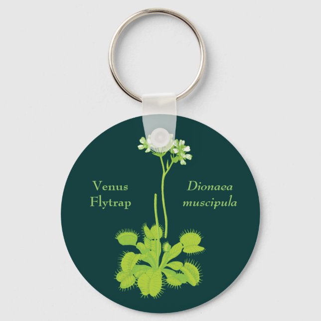 Venus Flytrap Floral Art Keychain (Front)