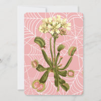 venus flytrap floral spider web