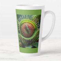 Venus Flytrap Floral Whimsical Bold