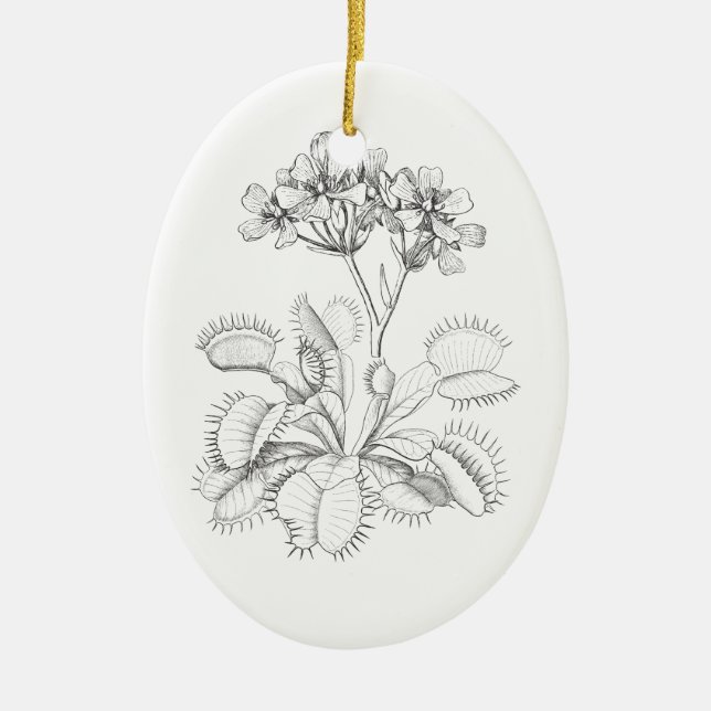 Venus Flytrap Vintage Botanical Ornament (Front)
