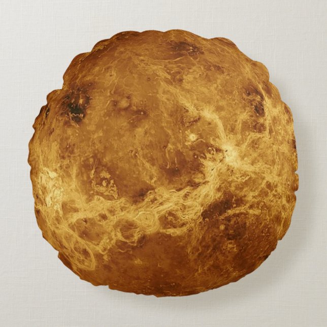 Venus Globe Round Pillow (Front)