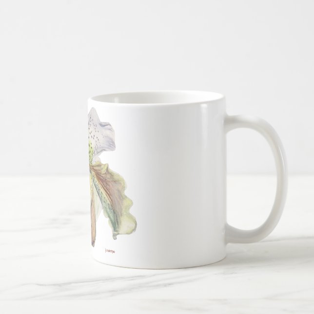 venus (Lady's slipper) Coffee Mug (Right)