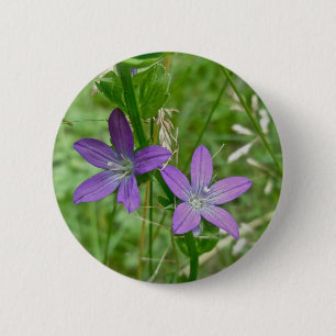 Venus Looking Glass Wildflower 2 Inch Round Button