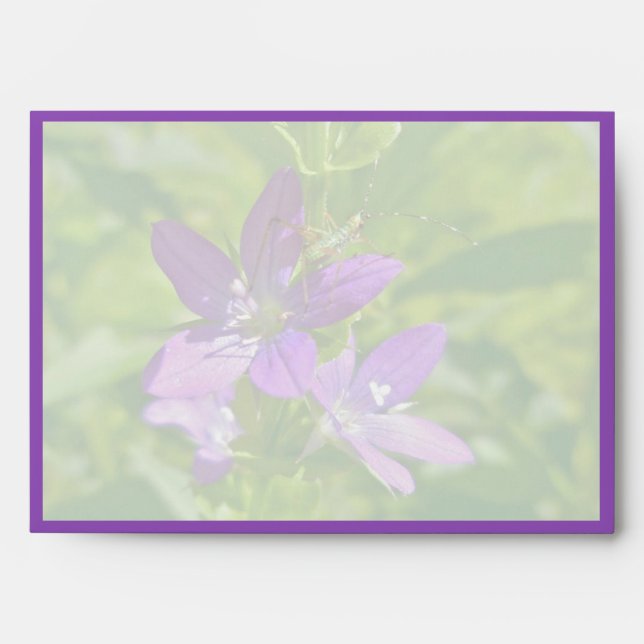 Venus Looking Glass Wildflower & Grasshopper Envelope (Front)