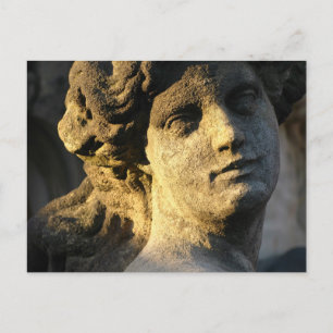 Venus Postcard