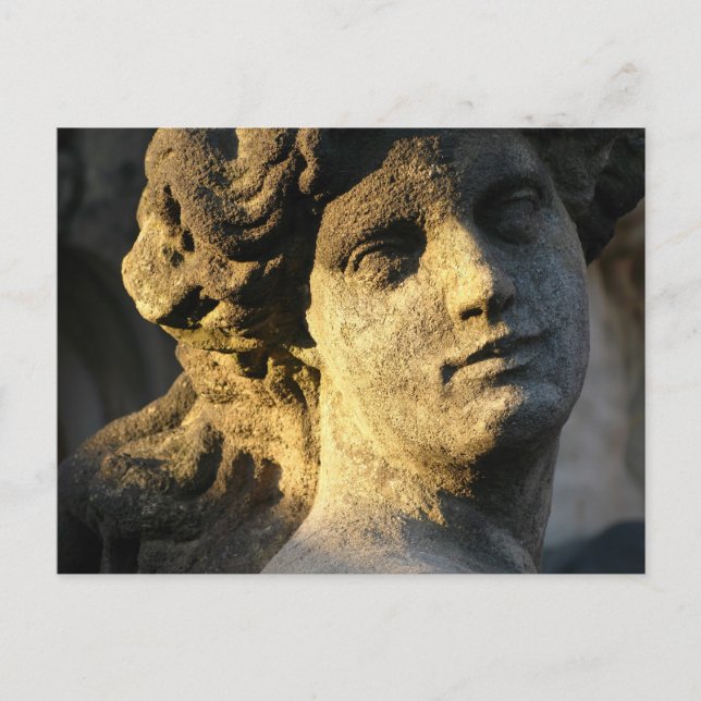 Venus Postcard (Front)