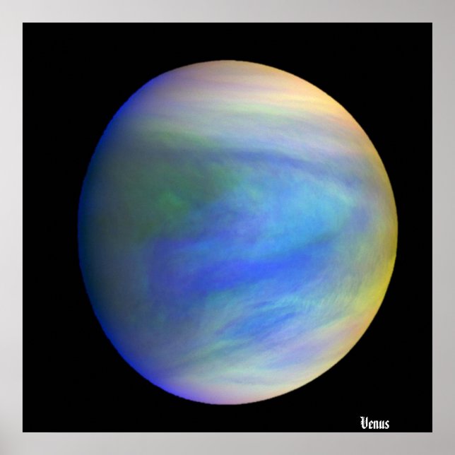 Venus / poster (Front)