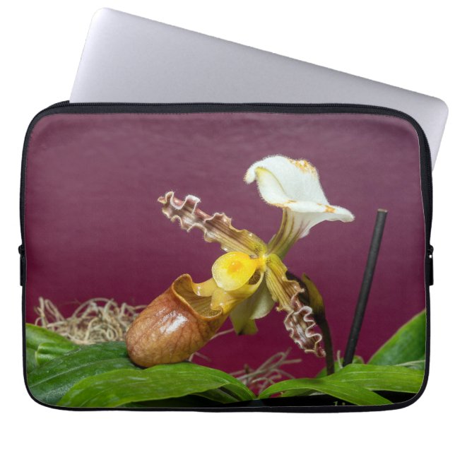 Venus Slipper Orchid Laptop Sleeve (Front)