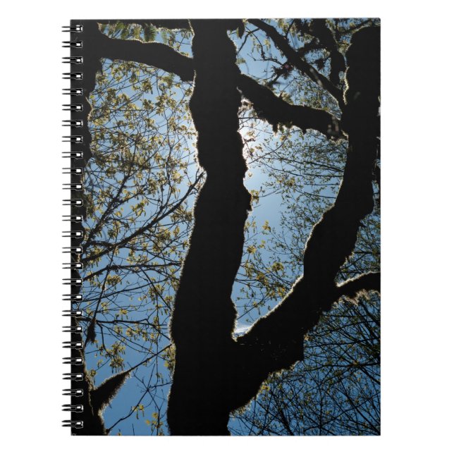 VER NOTEBOOK (Front)