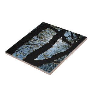 VER TILE