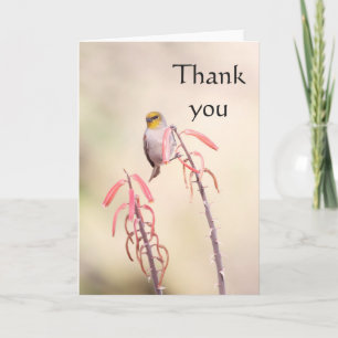 Verdin perched on penstemon, thank you card