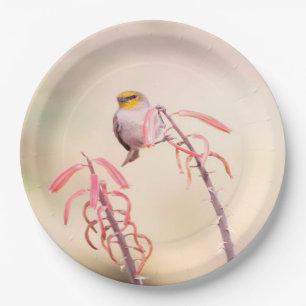 Verdin perched on penstomen paper plate