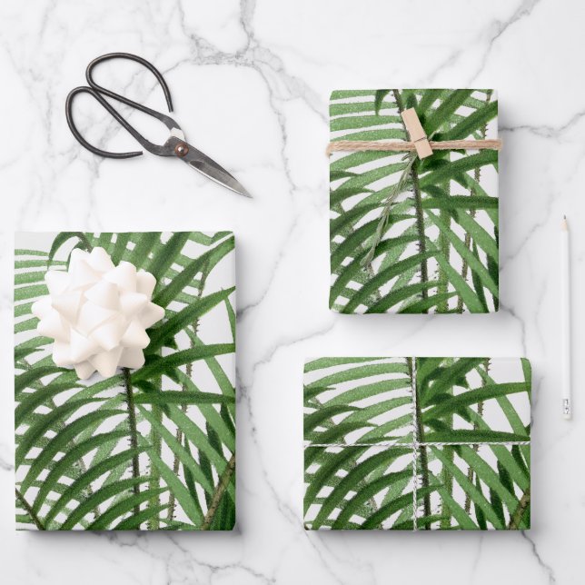 Verdure tropicale Aquarelle Palm Tree Feuilles (Recto)