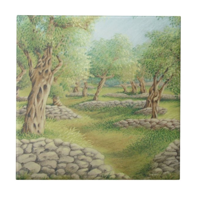 Verger olive méditerranéen, carreau de céramique (Devant)