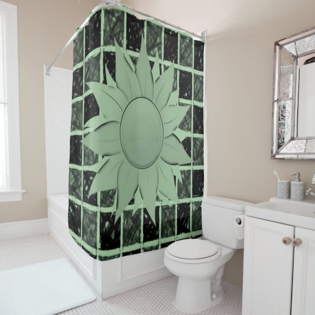 Vérificateurs de rideau de douche (En situation)