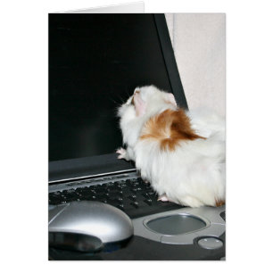 Vérification du courrier électronique