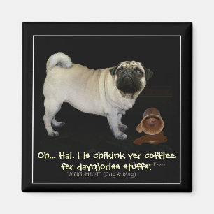 "Vérifier votre café..." Magnets amusants