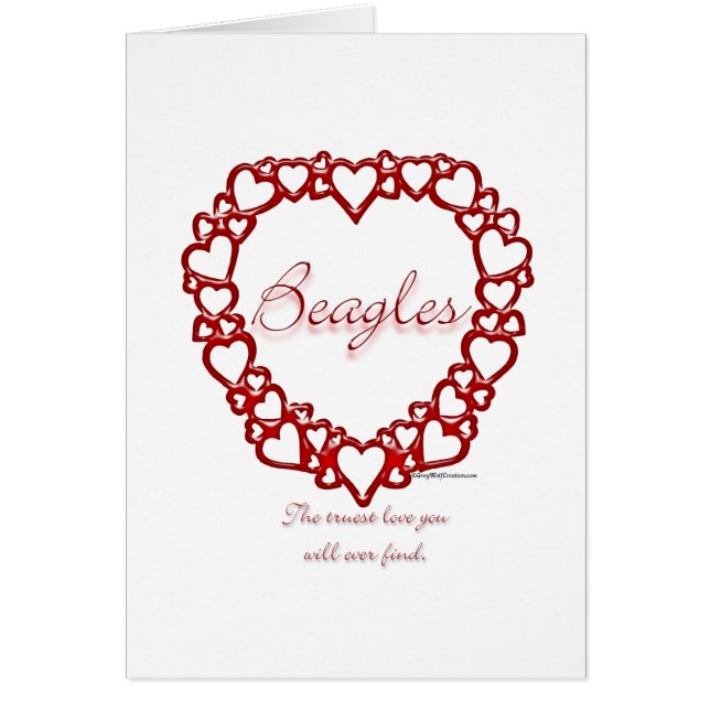 Véritable Amour beagle (Devant)