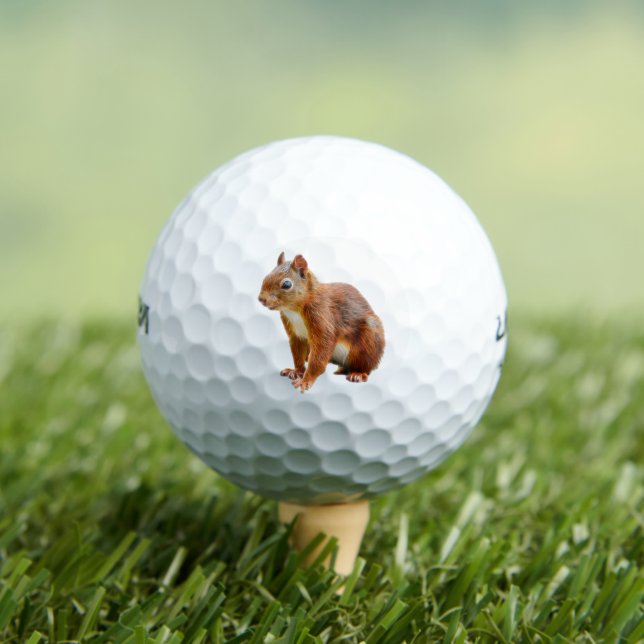 Véritable Écureuil Roux Mignon stylisé Golf Balls (Insitu Tee)