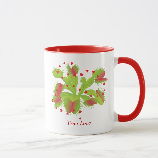 Véritable tasse d'attrape-mouche de Vénus d'amour (Droite)