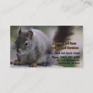 Vermin Exterminator Pest Control Business Card