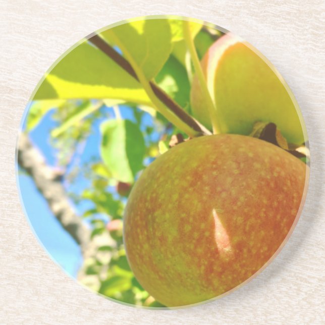 Vermont Apple Coaster (Front)