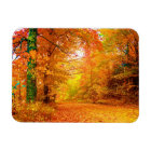 Vermont Autumn Nature Landscape