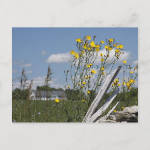 Vermont Country Living Postcard