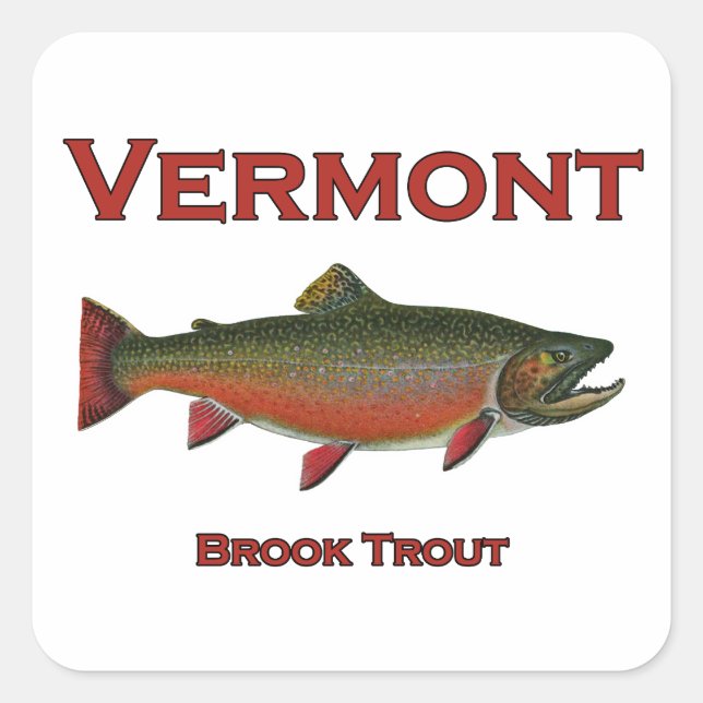 Vermont Fishing - Brook Trout Square Sticker (Front)