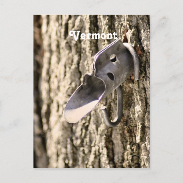 Vermont Maple Tapping Postcard (Front)